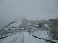 Neve (68)